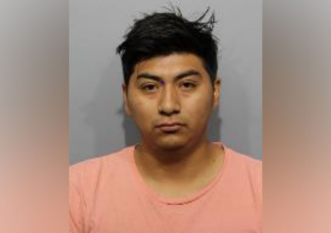 Guadalupe Mezo-Temich, charged with Aggravated Battery (SOURCE: Arlington Heights Police Department)