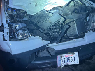 Damaged Nissan pickup truck after hit-and-run driver hit and killed two horses Tuesday, June 27, 2023 (SOURCE: Lake County Sheriff's Office)