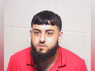 Anas M. Karmash, charged with DUI -- Alcohol after a crash with a Lake County Sheriff's vehicle (SOURCE: Lake County Sheriff's Office)