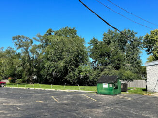 Tree line behind Crave Bar in the direction where a bullet traveled during the night and entered a house when two people were also wounded in a shooting outside the Crave Bar on July 1, 2023 (CARDINAL NEWS)