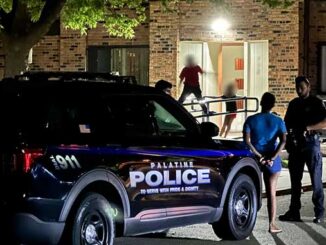 Woman detained and handcuffed while police officers investigate a report that a woman and her baby were 'pepper sprayed' on Friday night, August 11, 2023 (CARDINAL NEWS)