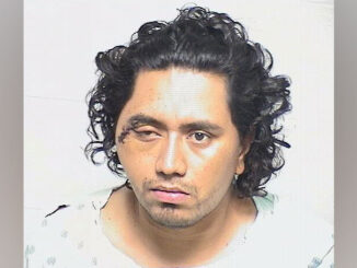 Gerzin Ramirez-Perez, charged with Aggravated Unlawful Restraint, Domestic Battery (SOURCE: Lake County Sheriff's Office)