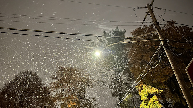Snowfall in Arlington Heights at 8:13 p.m. Tuesday, October 31, 2023