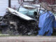 A Lexus sedan wrecked after the driver was killed while involved in a single-vehicle crash with a wood streetlight pole and a house on the west side of Quentin Road in Palatine, Monday, October 30, 2023