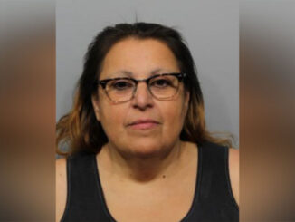 Paula Cristina Sanchez, charged with Aggravated Arson (SOURCE: Arlington Heights Police Department)