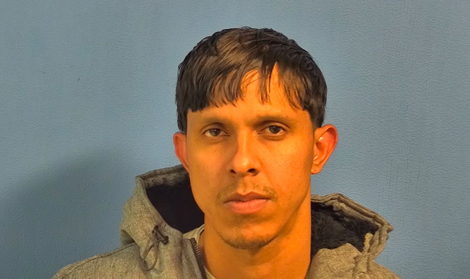 Luis Mendez-Gomez, charged with felony burglary and felony retail theft (SOURCE: DuPage County State's Attorney's Office)
