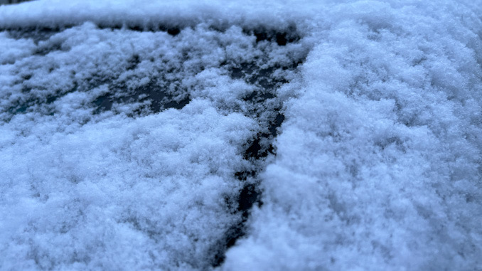 Snowfall in Arlington Heights, northwest Cook County, early Tuesday morning, December 5, 2023