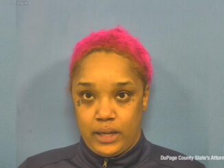 Ashley Lucas, charged with Issue or Deliver a Forged Document (SOURCE: DuPage County State's Attorney's Office)
