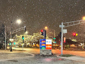 Snow in Arlington Heights started out strong at about 9:52 p.m. Monday, January 8, 2024, but didn't amount to much accumulation Tuesday morning (CARDINAL NEWS)