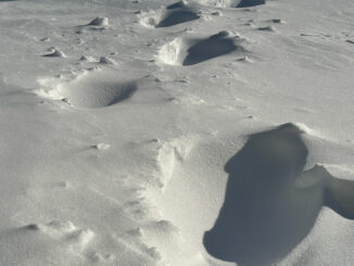 Snow is over with a sterile, lunar appearance Sunday morning, January 14, 2024 (CARDINAL NEWS)