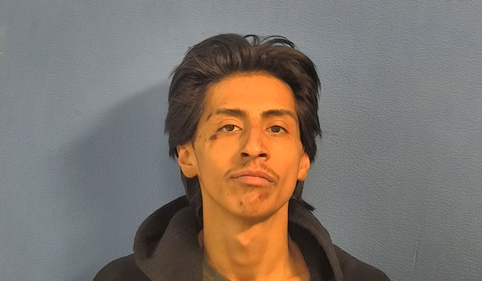 Ricardo Ortega, charged with Vehicular Hijacking and other serious charges (SOURCE: DuPage County State's Attorney's Office)