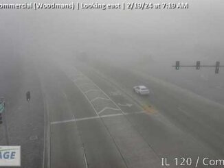 Fog in Volo near Woodmans's Food Market near Route120 west of US-12 (SOURCE: Lake County Passage)