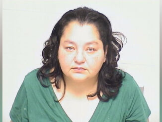 Gladys Ibanez Olea, charged with eight counts of Human Trafficking and other charges (Lake County Sheriff's Office)