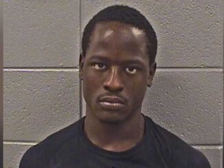 Isaac Goodlow, charged with Aggravated Cruelty to Animals (SOURCE: Cook County Sheriff's Office).