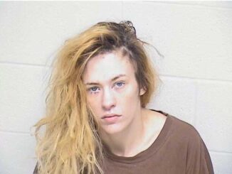 April Reins, charged with Aggravated Battery to a Peace Officer, Attempted Felon Escape and other charges (SOURCE: Lake County Sheriff's Office)