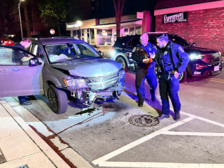 Police officer gathering information from a wrecked Dodge Journey after a crash with a tree on Arlington Heights Road just south of Northwest Highway about 2:30 a.m. Friday, April 19, 2024 (CARDINAL NEWS)