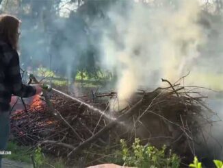 A citizen with a garden hose streaming water on a burning pile of tree branches just after firefighters arrived when they were called for help on Beverly Lane in Arlington Heights on Sunday, April 21, 2024 (CARDINAL NEWS)