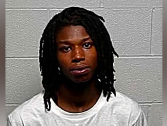 Dewan Frazier, charged with unlawful possession of cannabis with the intent to deliver (SOURCE: Lake County Sheriff's Office)