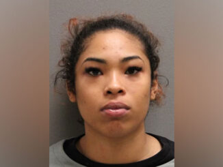 Tamia D. Rios, charged with Aggravated Driving Under the Influence of Alcohol Involving Death (Class 2 Felony) and two counts of Aggravated Driving Under the Influence of Alcohol Causing Great Bodily Harm (SOURCE: Illinois State Police)