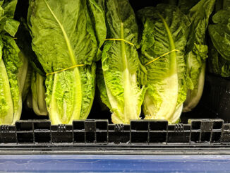 Romaine lettuce on the shelf at Amazon Fresh, 325 East Palatine Road in Arlington Heights, July 27, 2024 (CARDINAL NEWS)