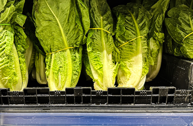 Romaine lettuce on the shelf at Amazon Fresh, 325 East Palatine Road in Arlington Heights, July 27, 2024 (CARDINAL NEWS)