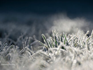 Frost on grass will precede freezing temperatures between 5:00 a.m. and 8:00 a.m. Friday, October 24, 2025 (Gekonek/Pixabay)