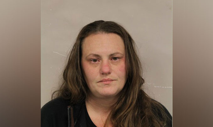 Alissa J. Goudie, charged with Delivery of Methamphetamine with Intent to Deliver, and other charges (SOURCE: Palatine Police Department)