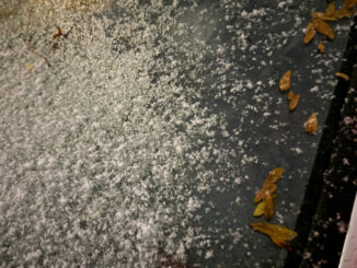 Just some slushy flurries accumulated on a windshield at 4:10 a.m. Sunday, November 9, 2025 (CARDINAL NEWS)