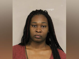Tianna Davis, charged with misdemeanor domestic battery (SOURCE: Palatine Police Department)