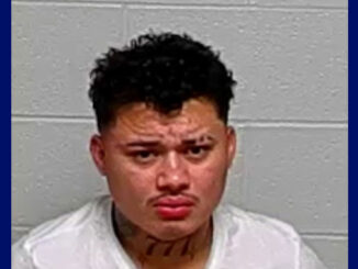 Danis J. Nunez-Bonilla, Aggravated Unlawful Use of a Weapon (SOURCE: Lake County Sheriff's Office)