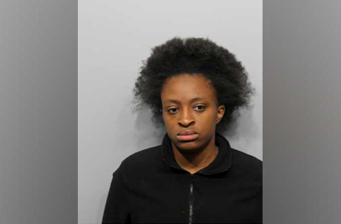 Dasharra J. Cokley, charged with Felony Retail Theft and resisting arrest on December 9, 2025 (SOURCE: Arlington Heights Police Department)
