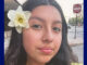 Isabella Barraza, missing teen Stickney Township in Cook County (SOURCE: Cook County Sheriff's Police)