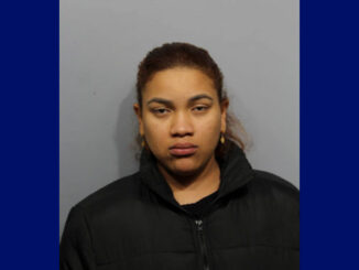 Celina Altagracia Vargas Cruz, charged with Prostitution (SOURCE: Arlington Heights Police Department)