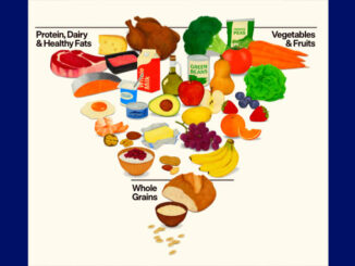 Food Pyramid 2026 (SOURCE: USDA)