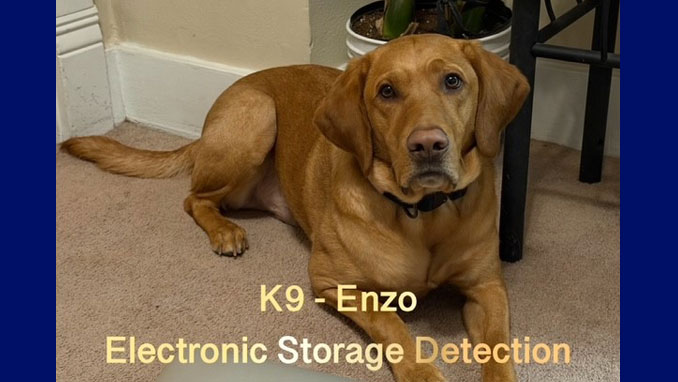 Lake County Sheriff’s Electronic Detection K9 Enzo (SOURCE: Lake County Sheriff's Office)