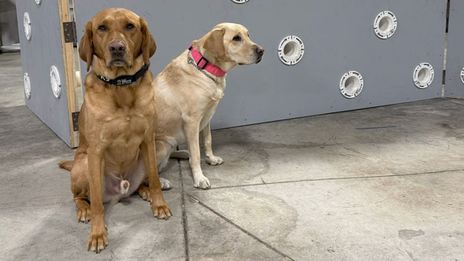 Lake County Sheriff’s Electronic Detection K9 Enzo and State’s Attorney’s Office Electronic Detection K9 Grip assisted with the search (SOURCE: Lake County Sheriff's Office)