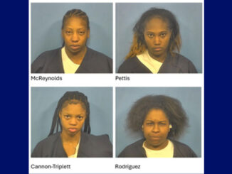 Deondra McReynold, Tandalaya Z. Pettis, Heaven E. Cannon-Triplett, and Fontazia A. Rodriguez (SOURCE: DuPage County State's Attorney's Office)