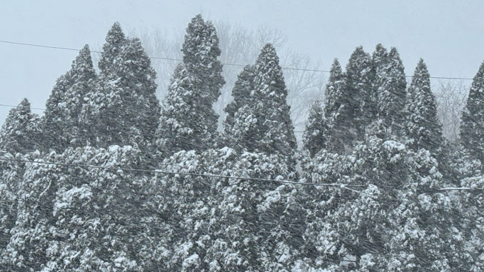 Snow Wednesday morning at 7:40 a.m., January 14, 2026 (CARDINAL NEWS)