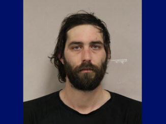 Billy L. Logan, charged with Aggravated Assault to a Police Officer and other charges (SOURCE: Palatine Police Department)