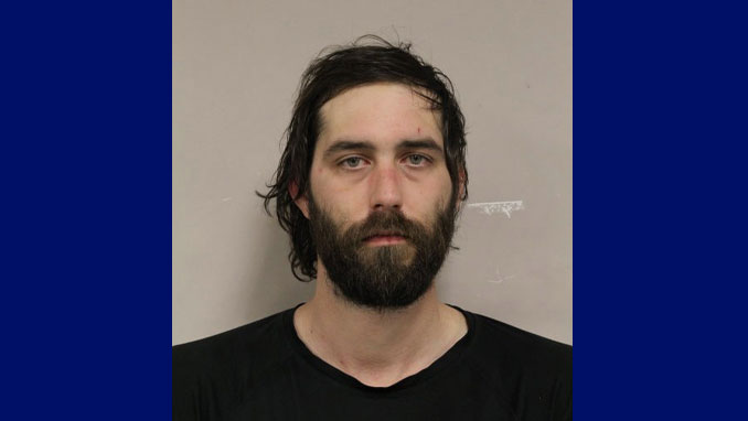 Billy L. Logan, charged with Aggravated Assault to a Police Officer and other charges (SOURCE: Palatine Police Department)