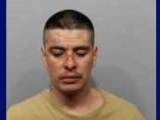 Luis Enrique Maldonado, Domestic Battery/Bodily Harm (SOURCE: Arlington Heights Police Department)