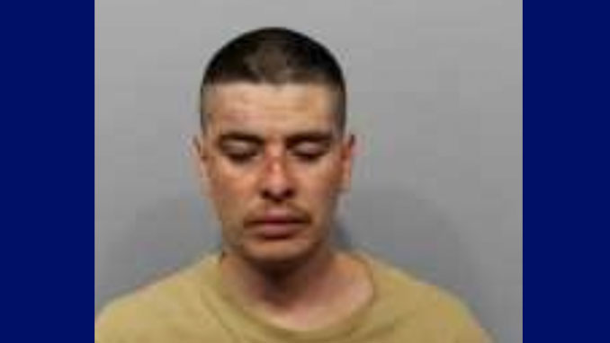 Luis Enrique Maldonado, Domestic Battery/Bodily Harm (SOURCE: Arlington Heights Police Department)