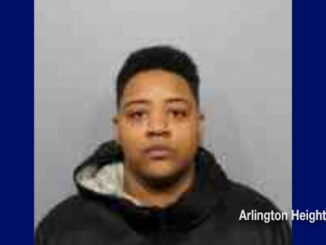 Danielle D. Kelley, charged with felony theft (SOURCE: Arlington Heights Police Department)