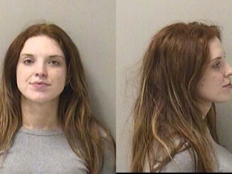 Megan Mroz, charged with Aggravated DUI, Reckless Homicide and other charges (SOURCE: St. Charles Police Department)