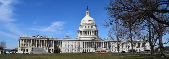 Washington DC US Capitol (Robert Jones/Pixabay)