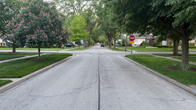 The Stop Sign at southbound Haddow Avenue at St. James Street in Arlington Heights is sometimes blocked by low hanging branches, but the branches were in trimmed condition today and did not block the stop sign (CARDINAL NEWS)