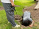 Citizens unsuccessfully attempt to reach ducklings trapped in a storm sewer about 10 feet underground on Sunday, May 17, 2026 (Provided Photo)