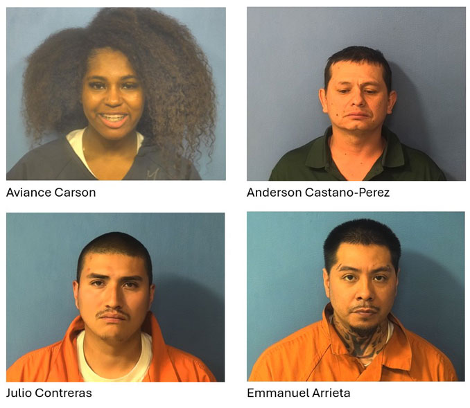 Aviance Carson, Anderson Castano-Perez, Julio Contreras, and Emmanuel Arrieta charged with Fleeing and Eluding in DuPage County (SOURCE: DuPage County State's Attorney's Office)