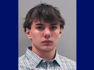 Francesco Rendina, charged with two counts of Reckless Homicide (SOURCE: DuPage County State's Attorney's Office)