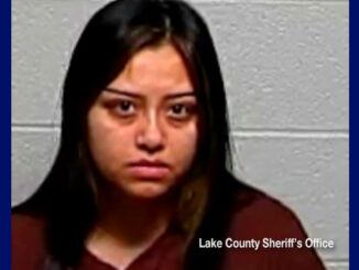 Driver Priscilla M. Martinez, charged with Aggravated DUI Causing Death and other charges (SOURCE: Lake County Sheriff's Office)